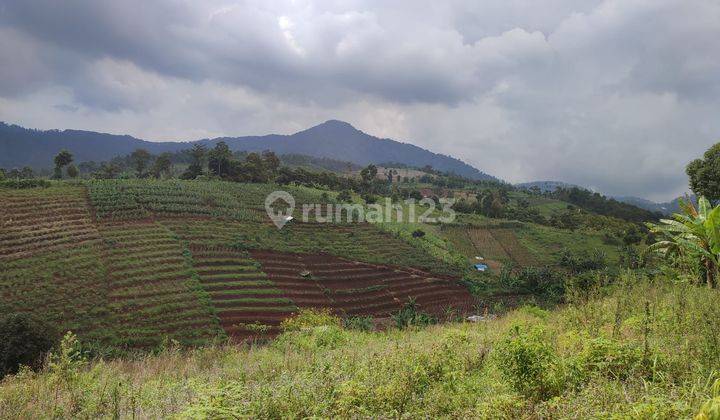 Tanah 20Ha Di Bandung Berikut Kebun Cengkeh 1