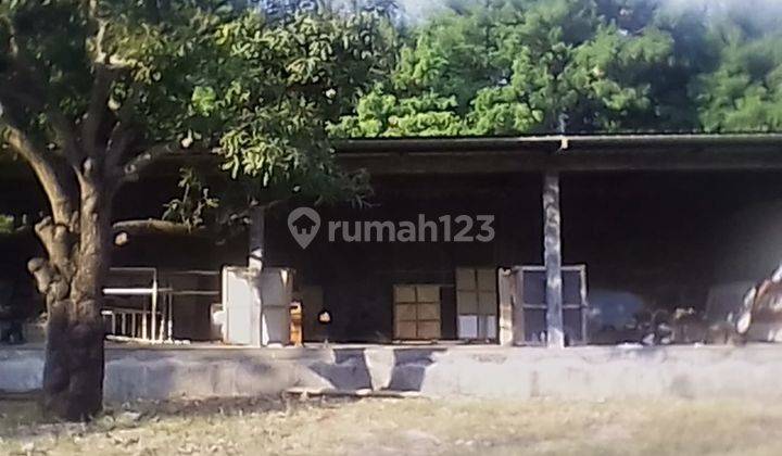Tanah Luas Dengan Lokasi Strategis di Cirebon. Tna