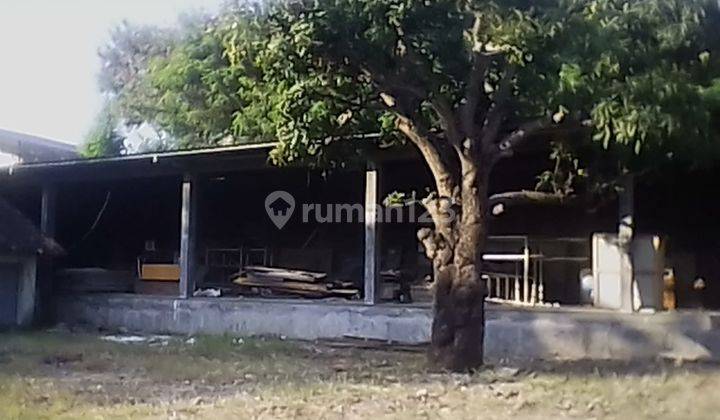 Tanah Luas Dengan Lokasi Strategis di Cirebon. Tna