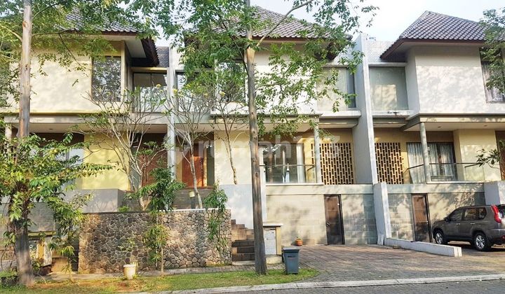 Well-Maintained Lush House in De Park Heliconia BSD