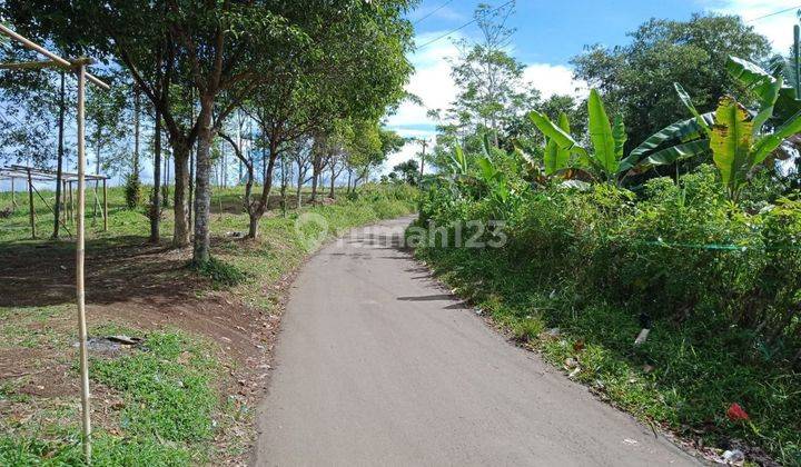 Dijual Lahan Kebun Murah di Nagrak Cibadak Sukabumi Dekat Tol 2