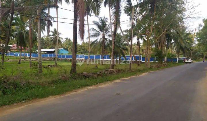 Dijual Murah Strategis Tanah Datar Siap Bangun Sawarna Bayah Banten 1