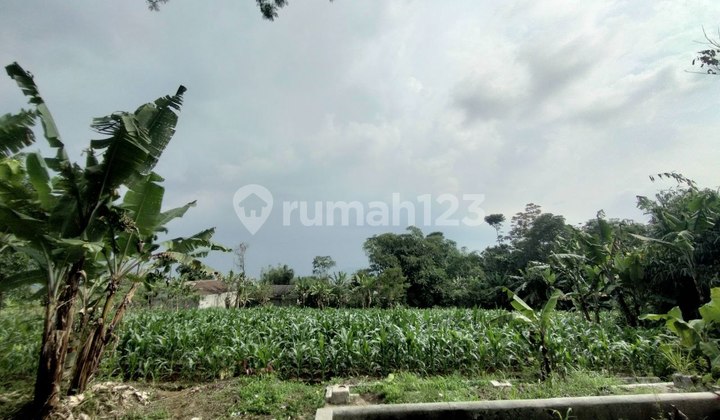 Dijual Tanah datar asri sejuk sukalarang sukaraja sukabumi cocok villa kebun