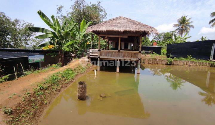 Dijual Tanah Kolam Ikan Rumah Saung Kebun Anggrek Sukabumi 2