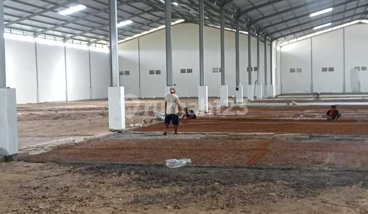 New Warehouse for Rent in Cikande New Warehouse for Rent in Cikande