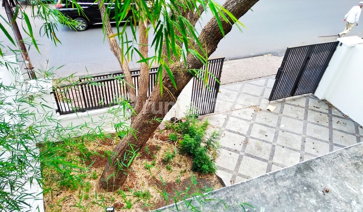 RUMAH DUA LT BELAKANG ADA TAMAN BISA UNTUK KANTOR BERHADAPAN DENGAN  LARISIA CAKE & BAKERY TEBET TIMUR DALAM RAYA JAKARTA SELATAN