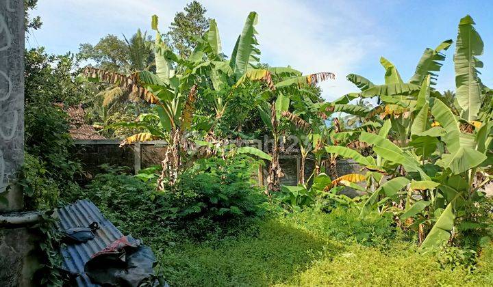 Disewakan rumah 1 lantai halaman sangat luas di Salatiga dekat UKSW dan jalan lingkar 7