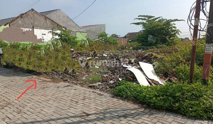 Jual Tanah 478m2 SHM Dkt Arteri Sukarno Hatta Kampus Amni Tlogosari Semarang #9514 1