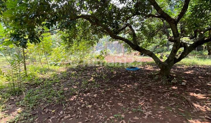 Tanah Luas Harga Sangat Murah di Cirendeu Tangerang Selatan Jarang Ada