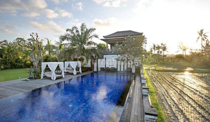 Good Deal Villa Unique Location Rare Rice Field View in Kesiman Bali 2