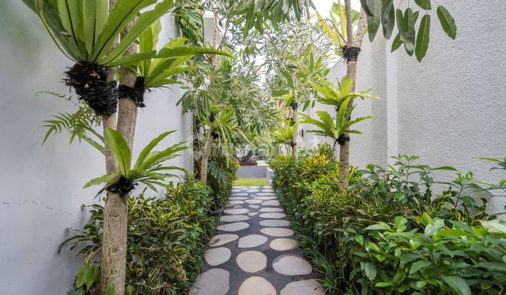 Villa Sangat Jarang Ada di Canggu Berawa Turun Harga Free Hold 2