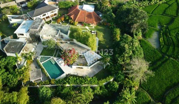 Rare Item Villa in Canggu Very Strategic Location Price Drop 1