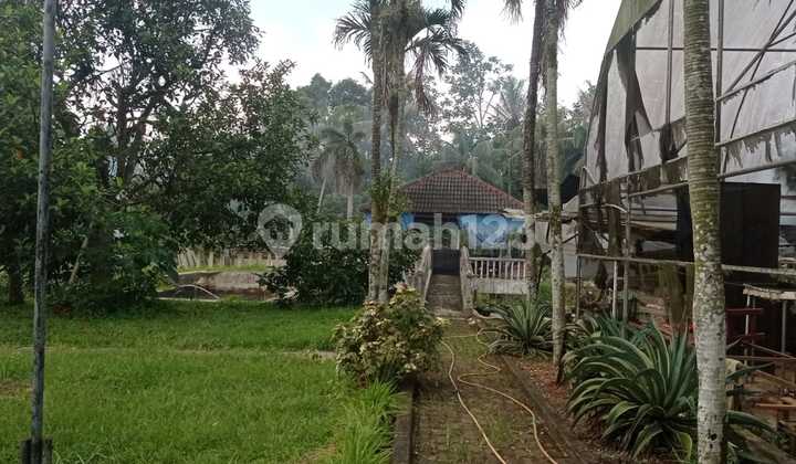 Wide Land with Pond and Flood-Free Building, Serene Environment in Parung, Bogor.