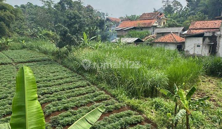 Tanah Termurah di Bawah Pasar di Jatinangor Cocok Bangun Kosan atau Pesantren 1
