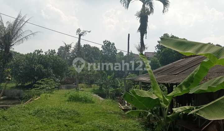 Wide Land with Pond and Flood-Free Building, Serene Environment in Parung, Bogor.