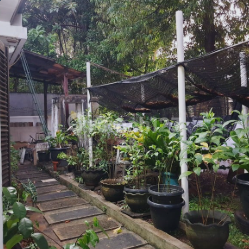 House in Senopati Area, One Step to Astha District 8, Quiet Neighborhood 2