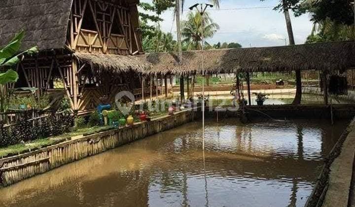 Tanah Luas Harga di Bawah NJOP Lingkungan Asri