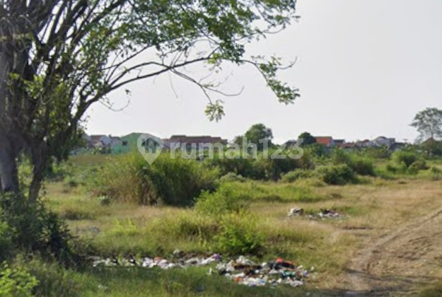 Brebes Kav 2.5ha (for rent)