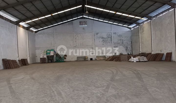 Large Livestock Warehouse 1375m2, Ready to Occupy Large Livestock Warehouse 1375m2, Ready to Occupy