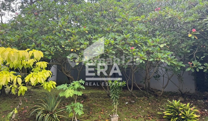 Tanah Siap Bangun di Sektor 9 Tanah Siap Bangun di Sektor 9