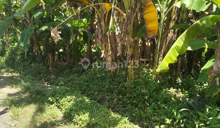 Dijual Tanah di Buduk Kawasan Umedewi Residen Canggu 5