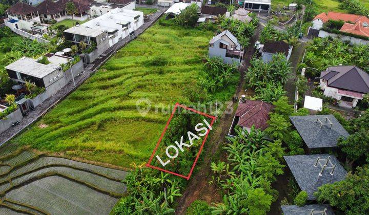 Di Jual Tanah Langka Kecil Area Tumbak Bayuh 4