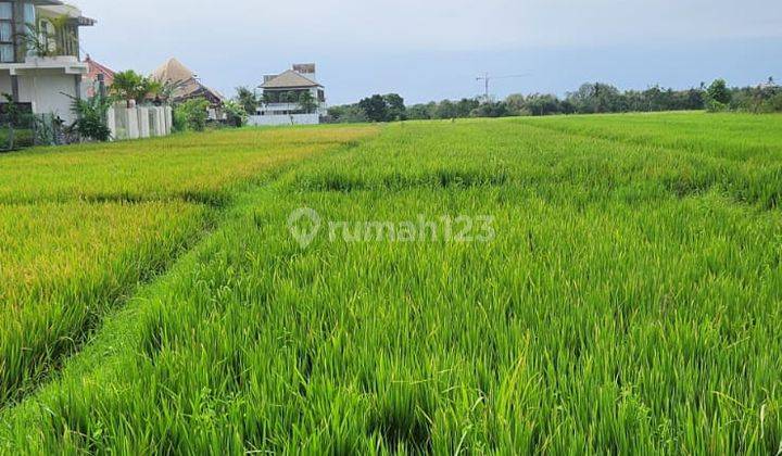 Land For Leasehold In Cemagi Beach Badung 1