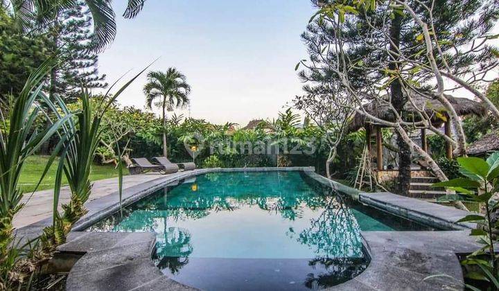 Wooden Traditional Villa Amidst Rice Fields In Best Prime Area Canggu 2