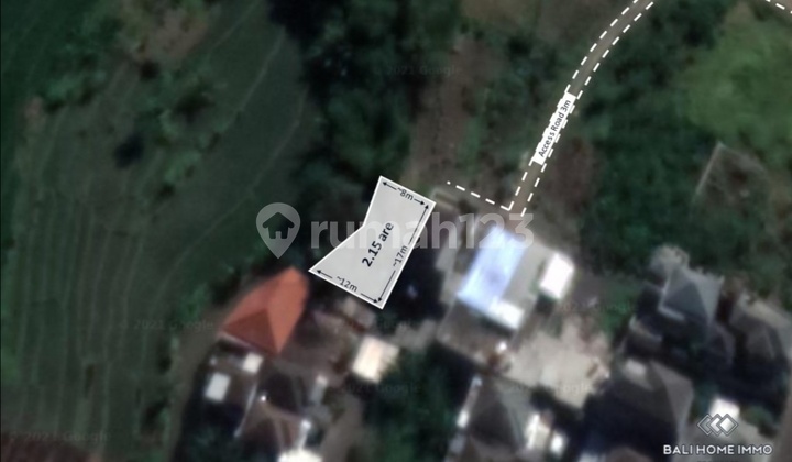 SMALL PLOT OF LAND WITH RICE FIELD AND RIVER VIEW IN BUDUK