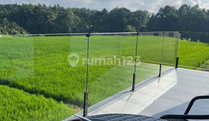 For Sell Brand New Fully Furnished Villa With Rice Field View In Singakerta Ubud