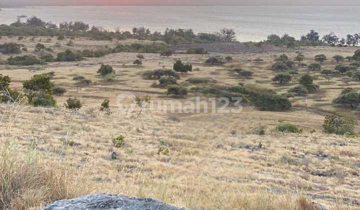 FOR SALE LAND AT LOS PANTA, NIHIWATU, EAST SUMBA GLOBAL 1.8 BILLION FOR SALE LAND AT LOS PANTA, NIHIWATU, EAST SUMBA GLOBAL 1.8 BILLION