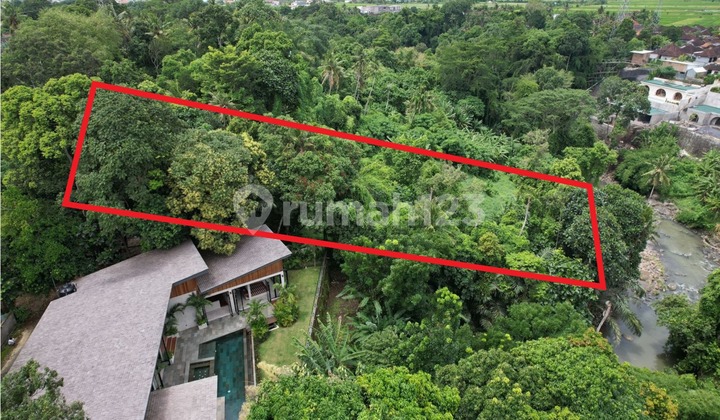 Land in Cepaka Munggu Los Sungai Jnt098 Land in Cepaka Munggu Los Sungai Jnt098