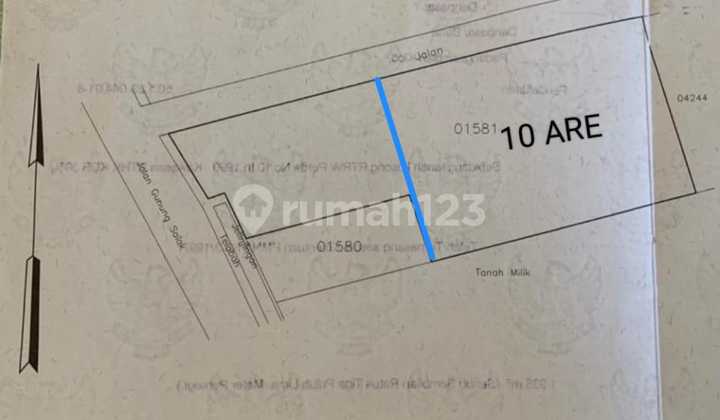 LAND FOR LEASEHOLD IN KEROBOKAN GUNUNG SALAK NEAR SLK/LOLYPOP SCHOOL SDW098