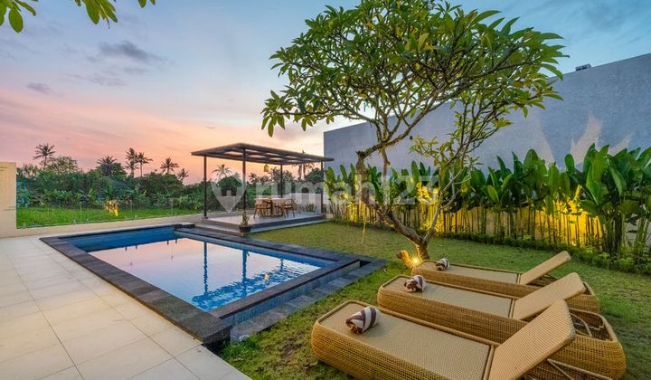 Bebas Banjir Vila Baru di Pantai Pererena Cdm098