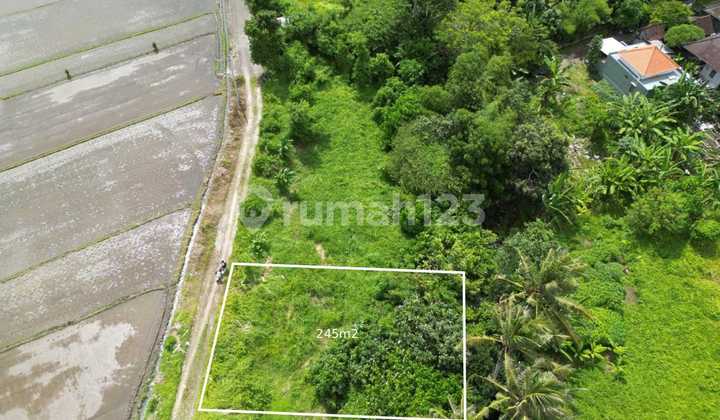 For Sale: Villa Los Sungai Land Plots & Full View of Eternal Rice Fields in Nyitdah Kediri Tabanan