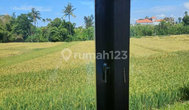 FOR SALE VILLA WITH RICE FIELD VIEW IN CANGGU BABAKAN DIRECT OWNER