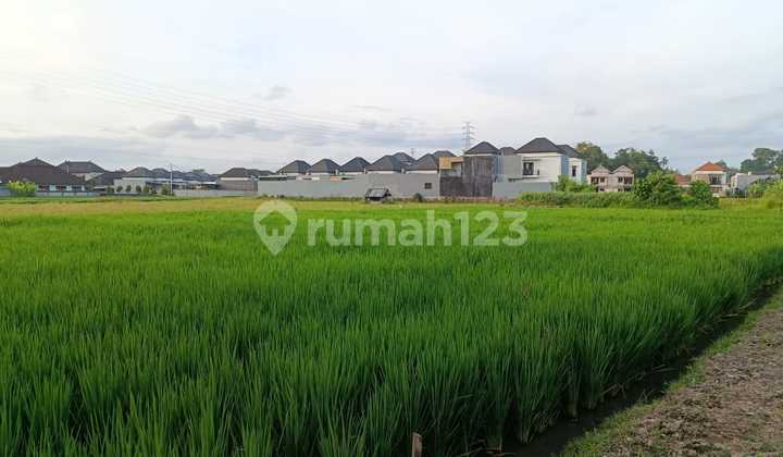 Bebaas Banjir Tanah View Sawah di Buduk Dekat Canggu Bali Cmd098