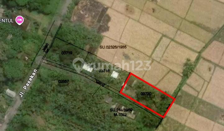 DI JUAL TANAH DI KEDUNGU  VIEW SAWAH JALUR HIJAU  CMD098
