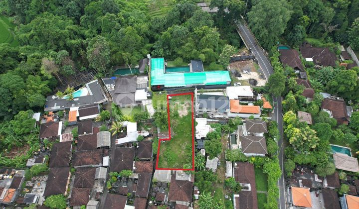 Land For Lease Tumbak Bayuh Canggu Jnt098 Land For Lease Tumbak Bayuh Canggu Jnt098
