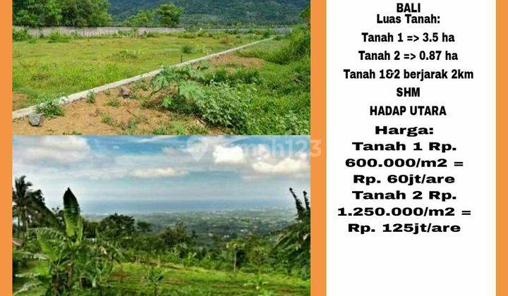 Dijual Tanah Di Buleleng, Singaraja, Bali 1