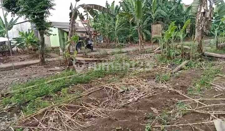 Tanah Luas 4000, Di Cisauk, Lebar Muka 24.8, Row Jalan Lebar 5m