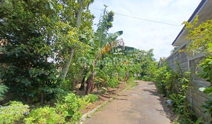 TANAH KAVLING DI KOMP CENDRAWASIH, LINGKUNGAN AMAN, NYAMAN DAN ASRI 2