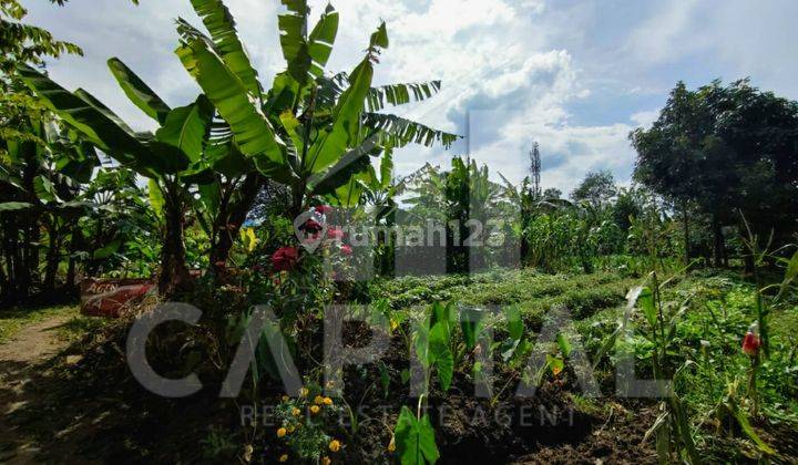  flash Sale Lahan Komersil Bandung Timur Ciwastra 3