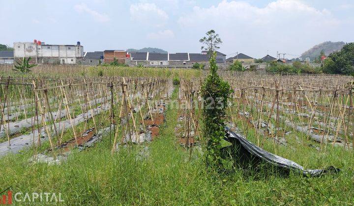 For Rent Bangunan Gudang 1500 m² Dan Lahan 5 Ha Batujajar  2