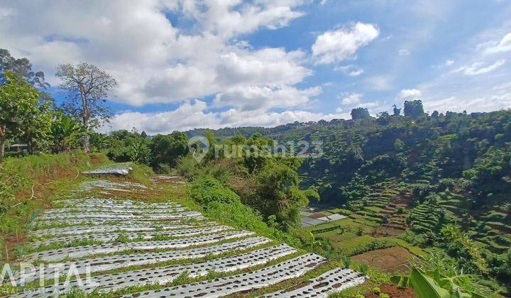 For Sale Tanah Cantik, Siap Bangun Di Sariwangi Udara Sejuk City  10