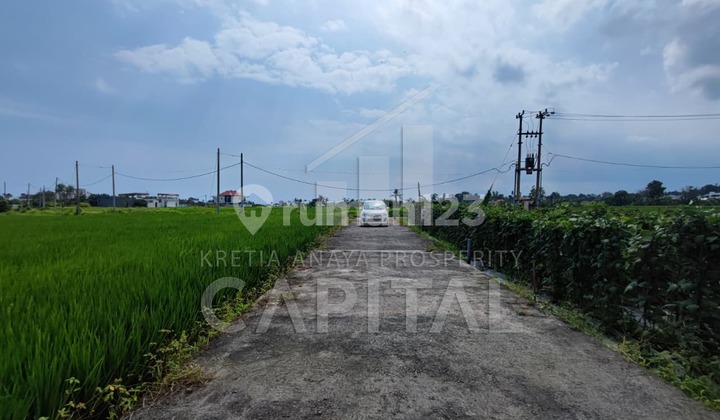 Jual Tanah Di Kedungu Tabanan - Bali* Jual Tanah Di Kedungu Tabanan - Bali*
