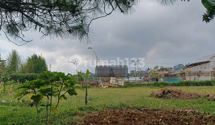 FOR SALE  TANAH KAVLING DI GRAHA PUSPA Posisi nyaman , jalan lebar 3 mobil 1