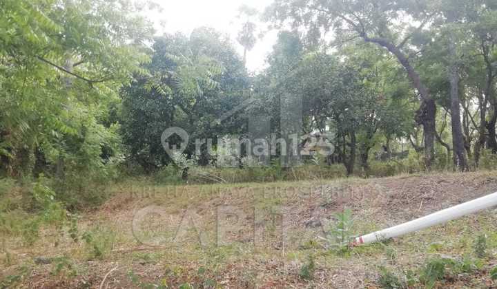 Land with Sea View Directly Adjacent to the Beach in Tulamben Karangasem Bali