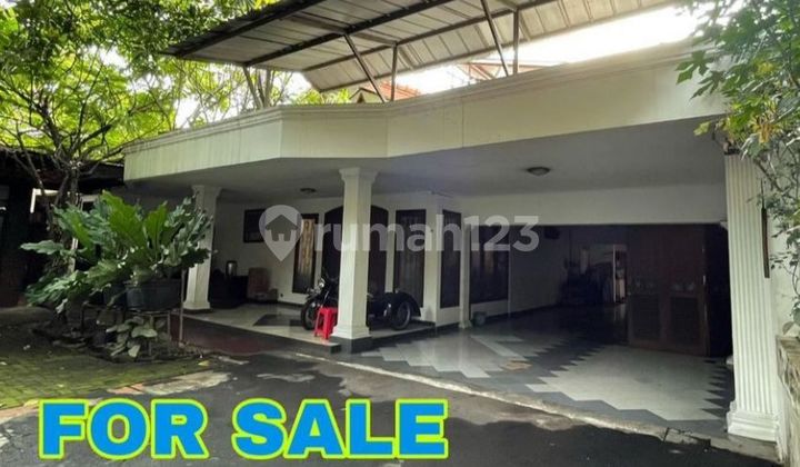 Rumah Tanah Luas Nuansa Asri Lokasi Strategis di Kemang Timur Jakarta Selatan
