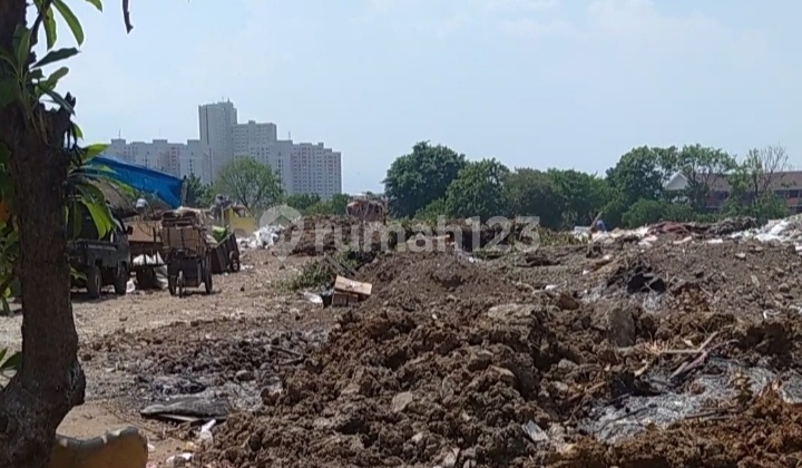 Kavling Dekat Kelapa Hibrida Area Komersil Tipar Cakung